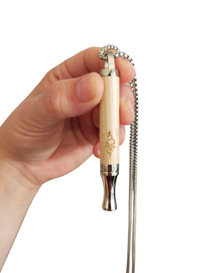 Flavour Quit Necklace Starter Kit – Natural Flavour Cores, Healthy Habit Ritual Support | BreatheBuddy®