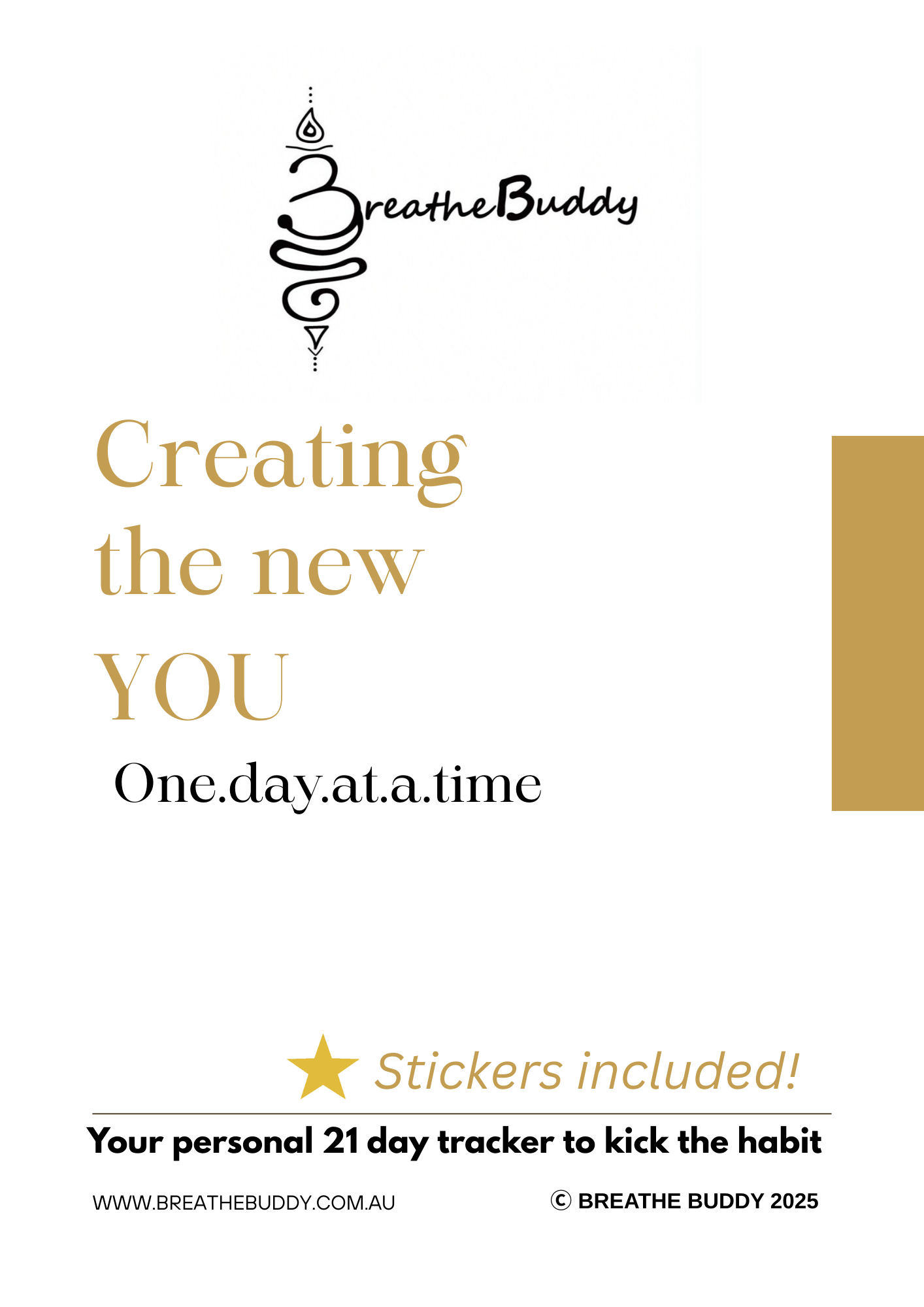 Quit Smoking/Vaping 21 Day Tracker Booklet with stickers