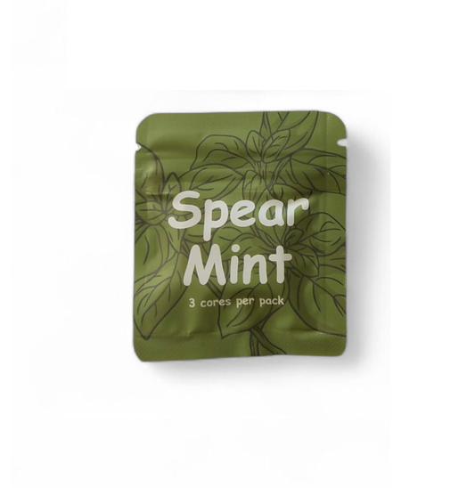 Spearmint Refill Pack – 3 Sealed Natural Flavour Cores
