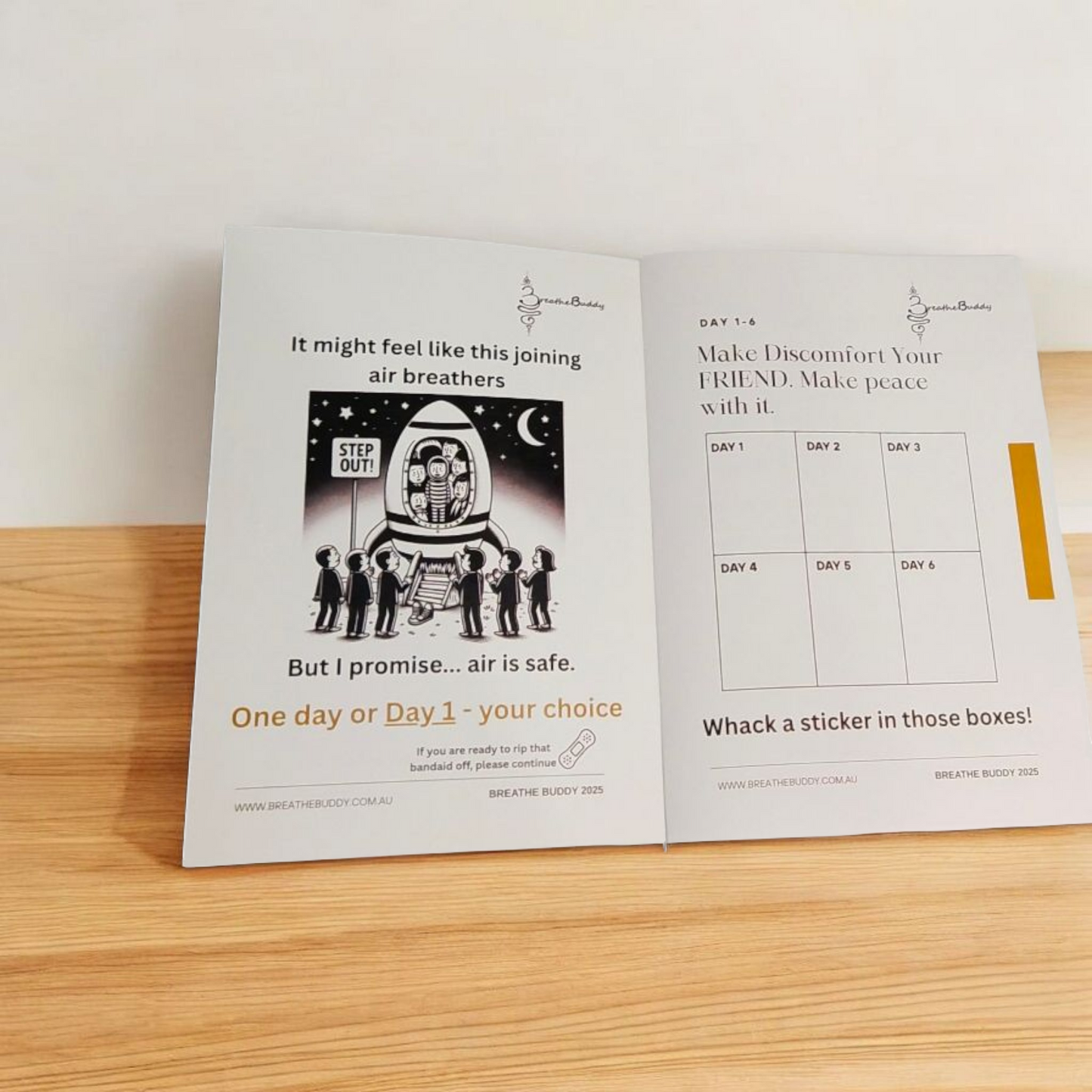 Quit Smoking/Vaping 21 Day Tracker Booklet with stickers